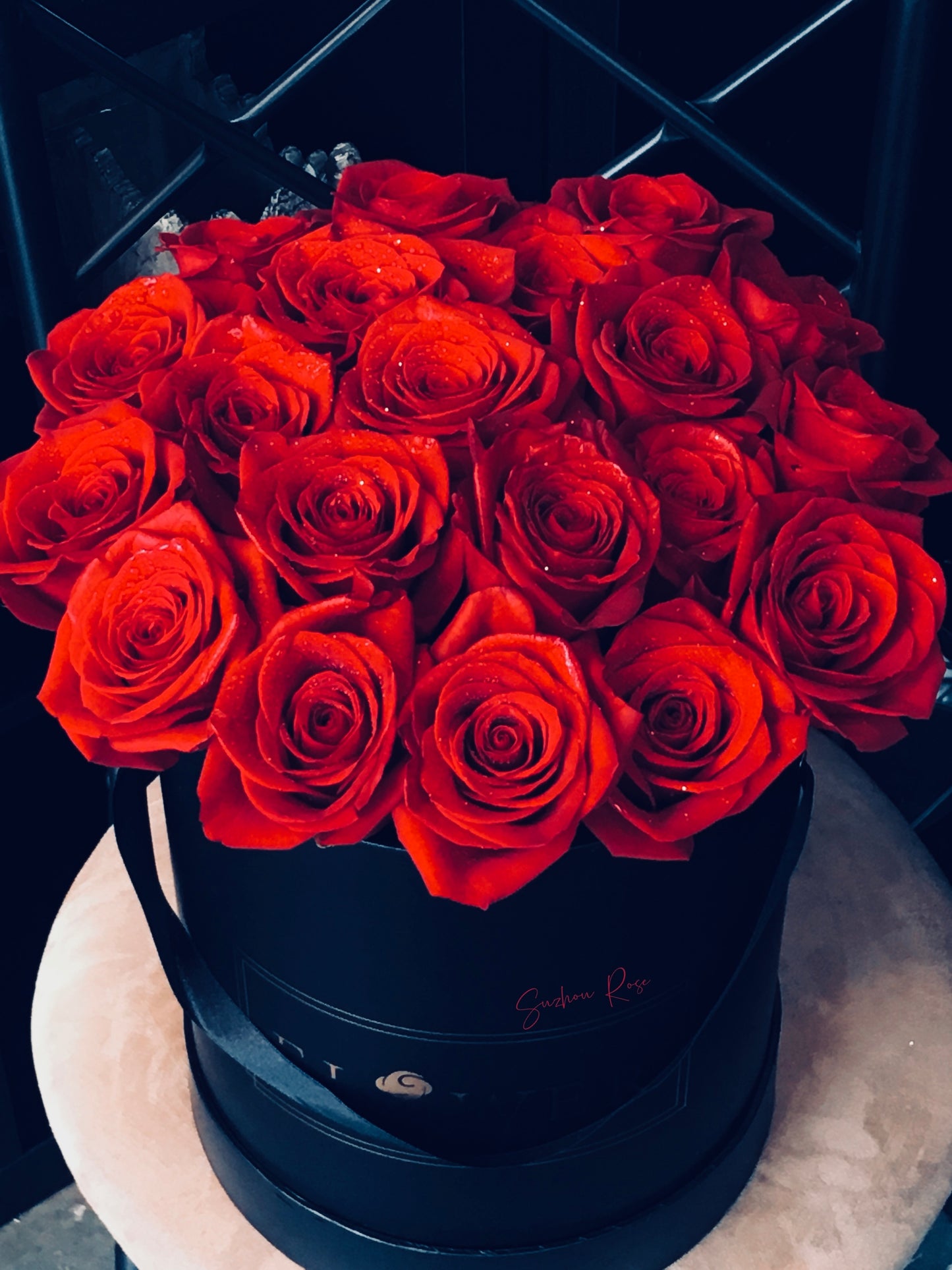 Freedom🌹box