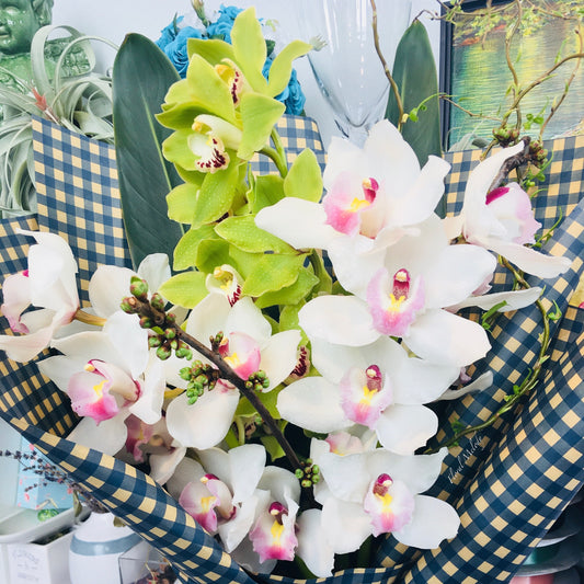 Spring is in the air🌿🕊️